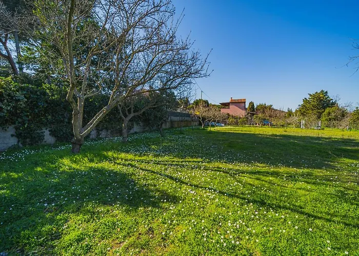 Casa Alex A Schiopparello - Goelba Appartamento *