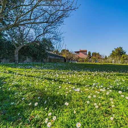 Casa Alex A Schiopparello - Goelba Апартаменты *