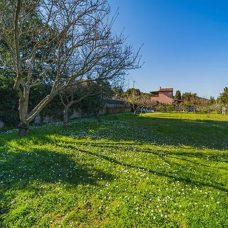 Casa Alex A Schiopparello - Goelba Apartament *