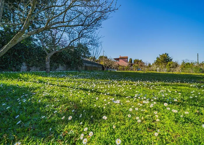 Casa Alex A Schiopparello - Goelba Lejlighed *